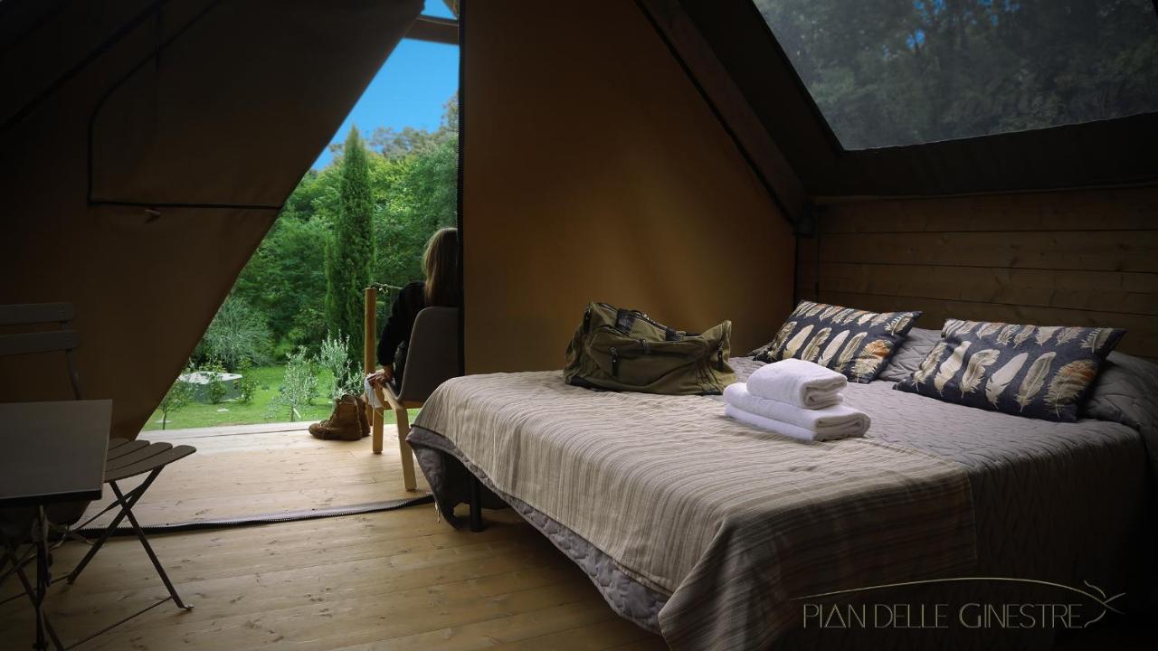 B&B Sassetta - Glamping Pian delle Ginestre - Bed and Breakfast Sassetta