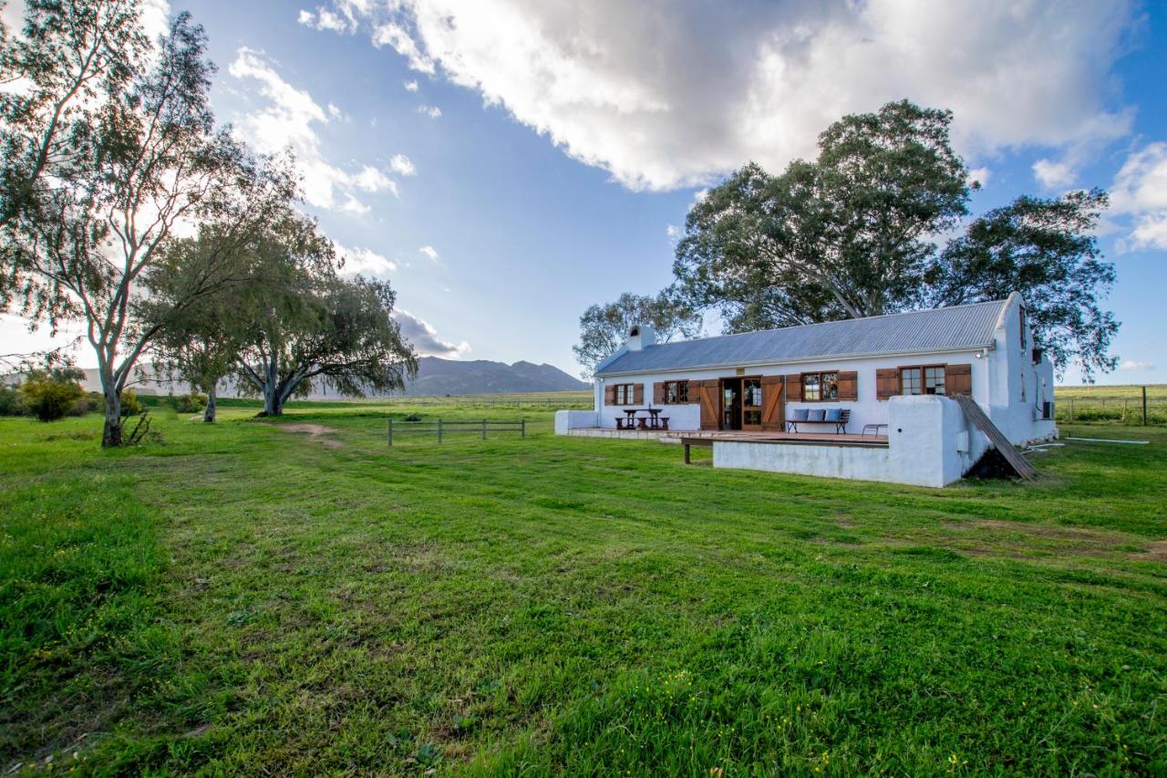 B&B Paarl - Denneboom Vineyards and Wildlife - Bed and Breakfast Paarl