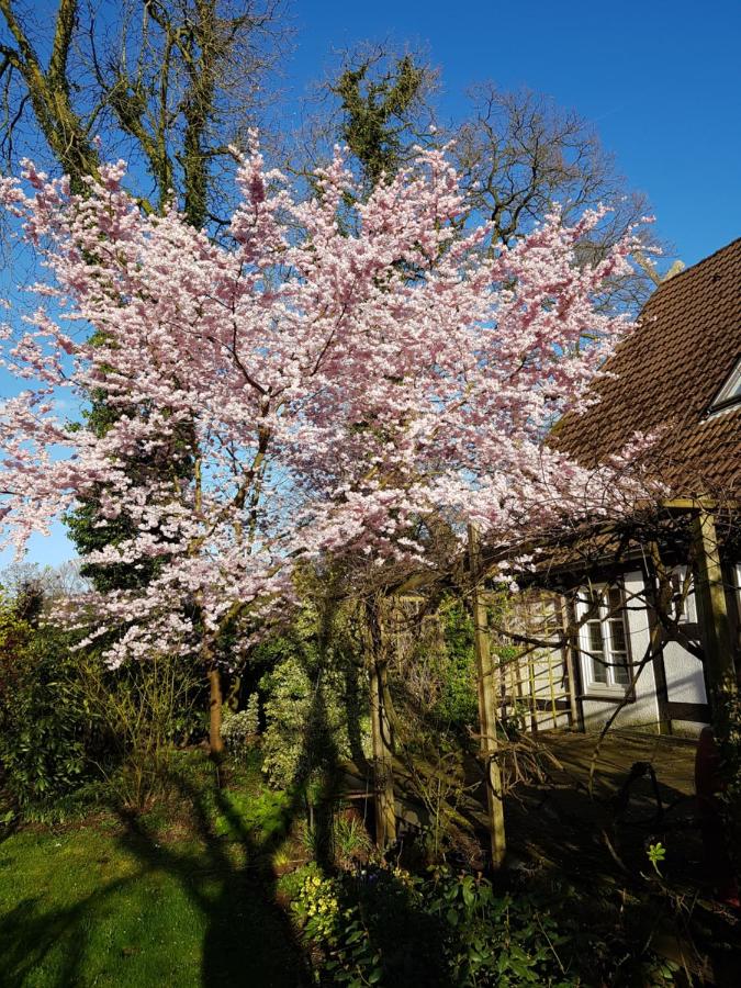 Apartment mit Gartenblick