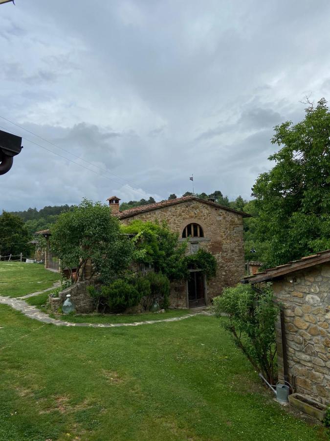 fattoria poggio di dante - B&B