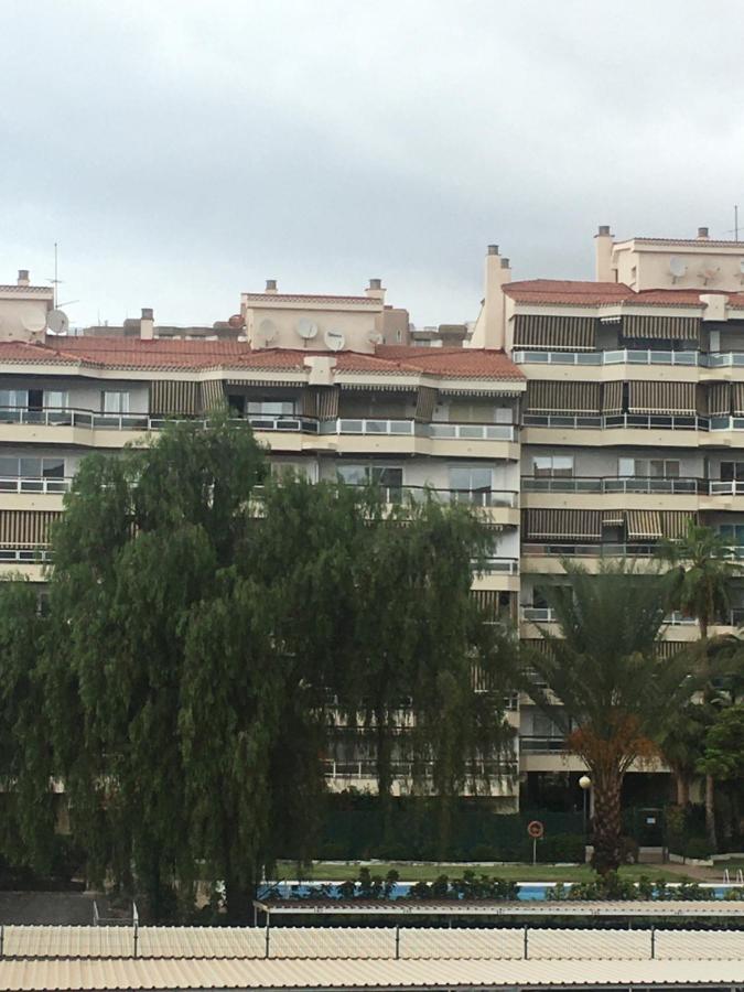 2 Bedroom Apartment Jardines Canarios Los Cristianos Tenerife - Chambres d'hôtes Arona