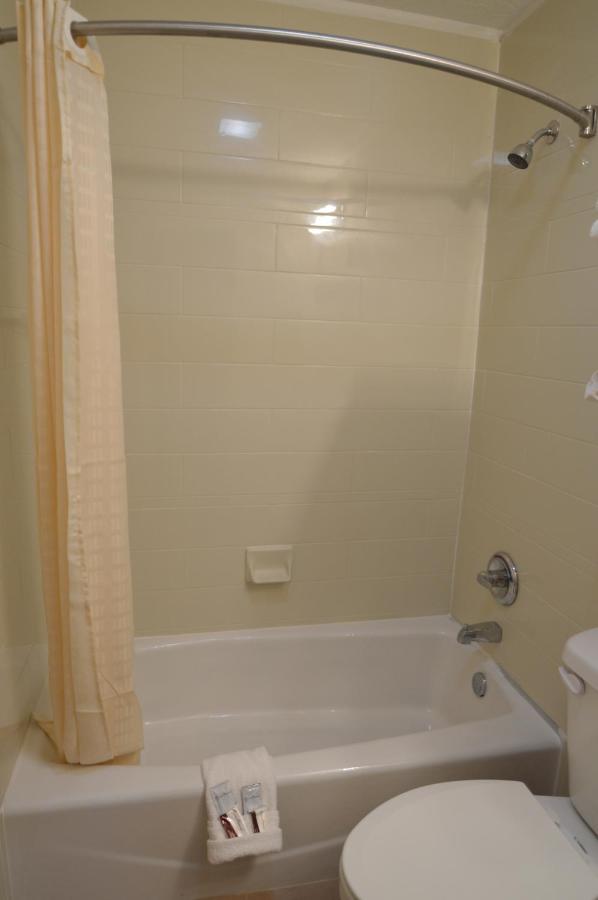 Habitación Doble Executive con 2 camas dobles - No fumadores