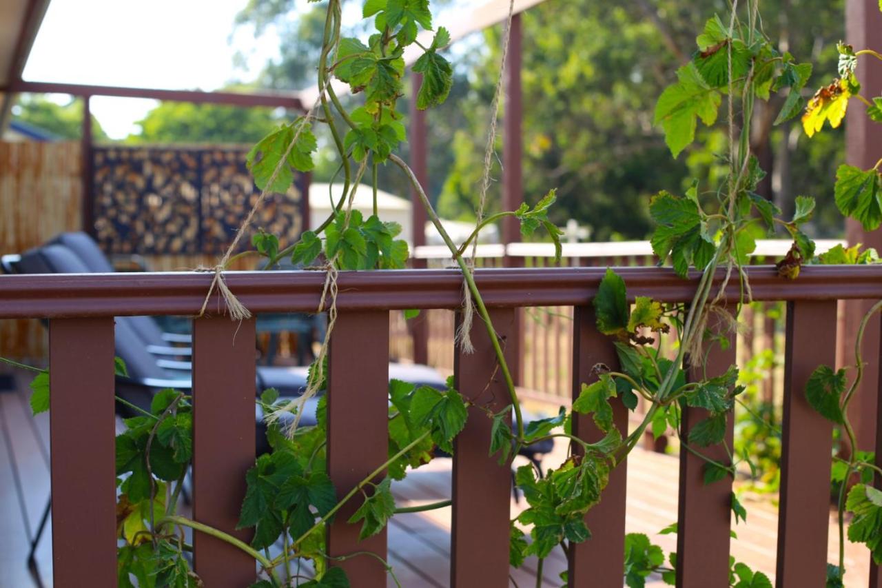 B&B Trentham East - Wombat Forest Country Retreat - Bed and Breakfast Trentham East