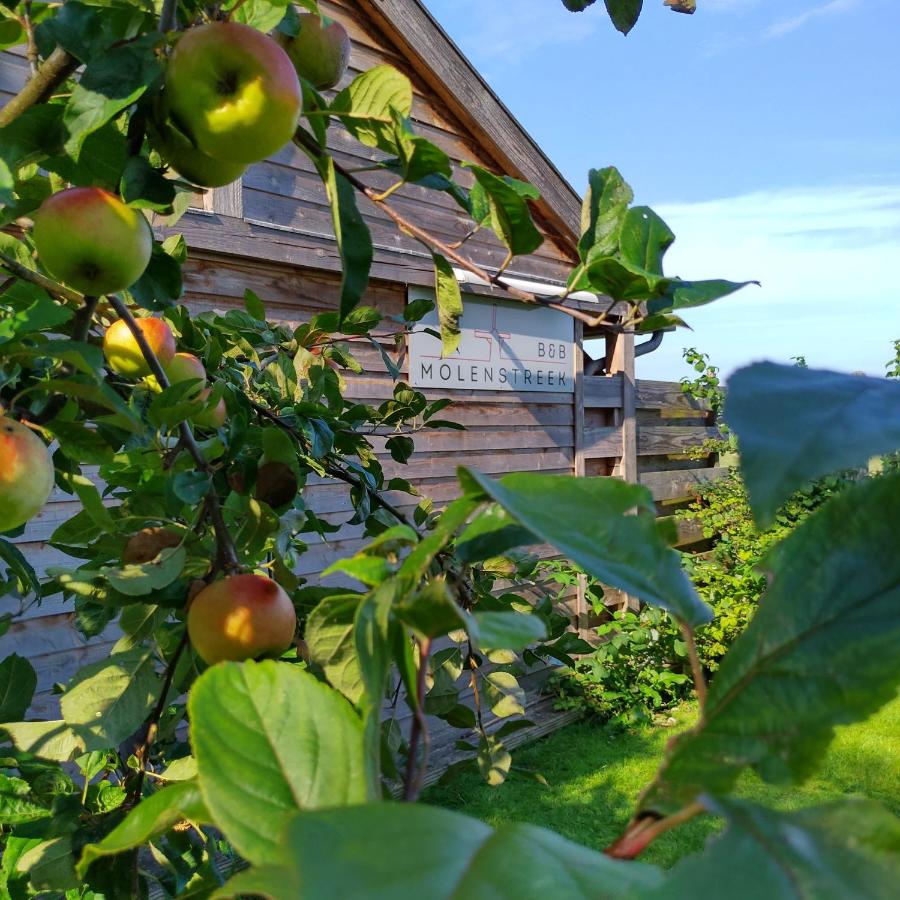 B&B Molenstreek - B&B