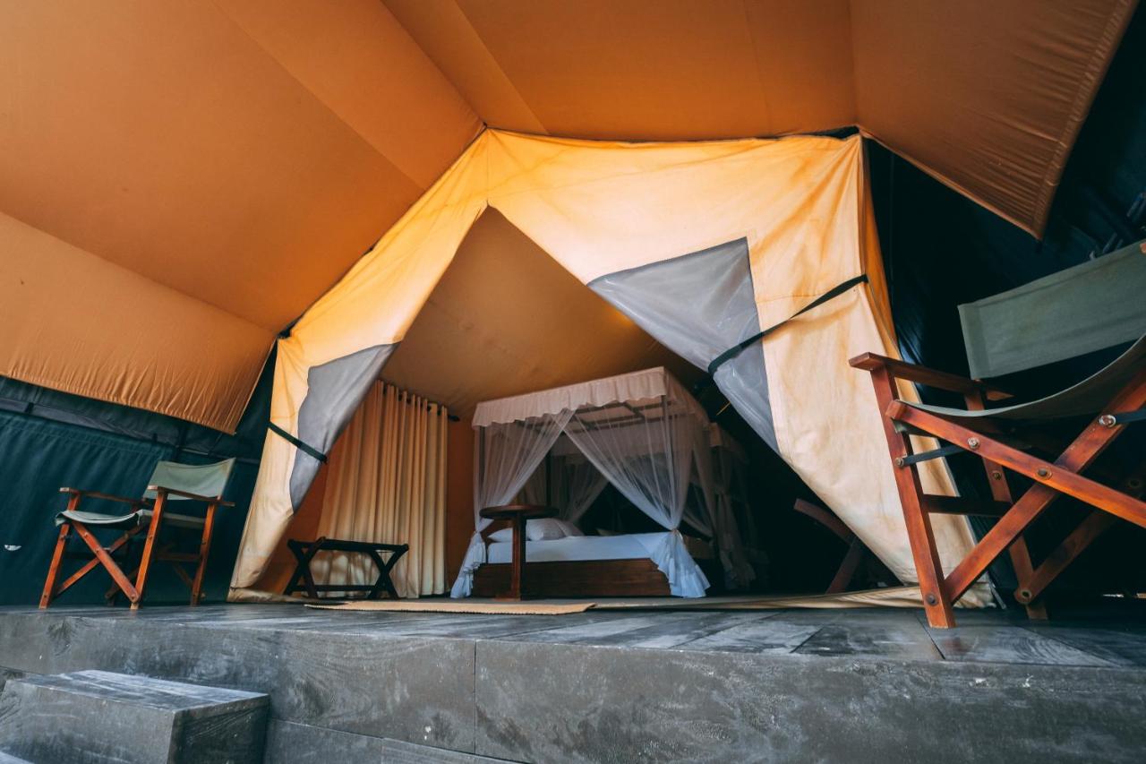 Leopard Tent with Private Pool (10% off on Wildlife Safaris)