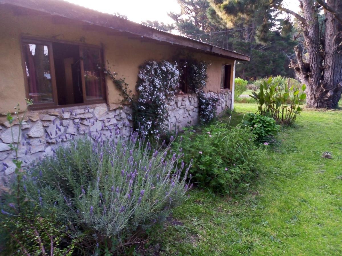 "10 PINOS" Chapadmalal - Bed and Breakfast