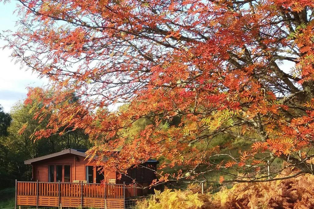 Glas Doire Lodge, Glen Roy Nature Reserve - Ferienwohnung