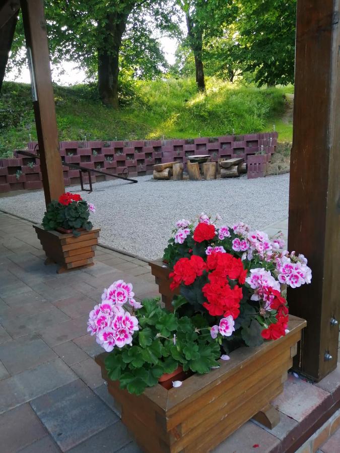 B&B Josipdol - Holiday Home Tržan - Bed and Breakfast Josipdol