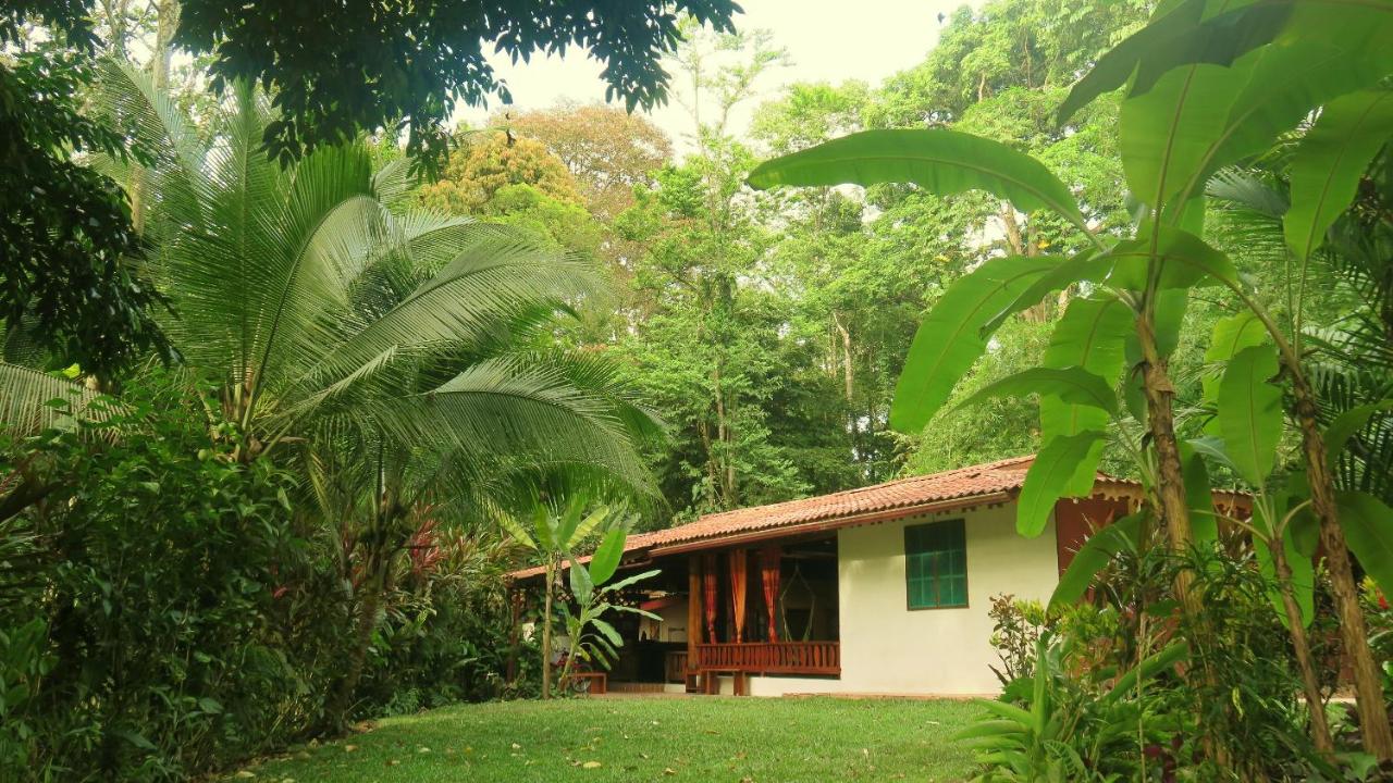 Casa Moabi - B&B Puerto Viejo
