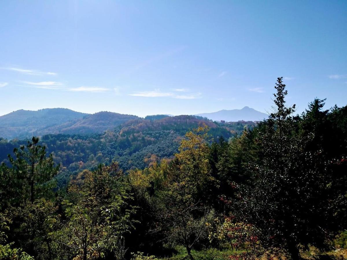 Apartaments els Pins - Sant Hilari Sacalm - B&B