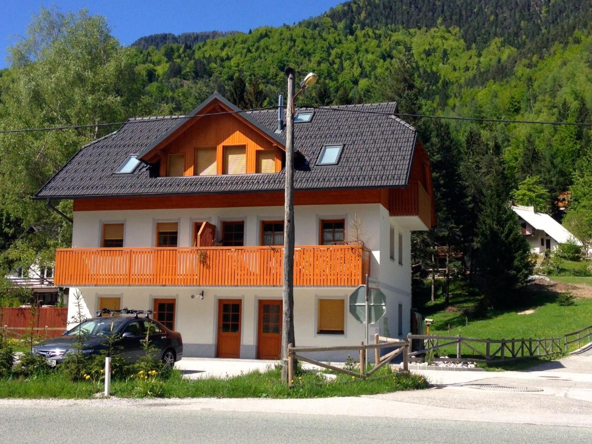 B&B Kranjska Gora - Apartment Brina - Bed and Breakfast Kranjska Gora