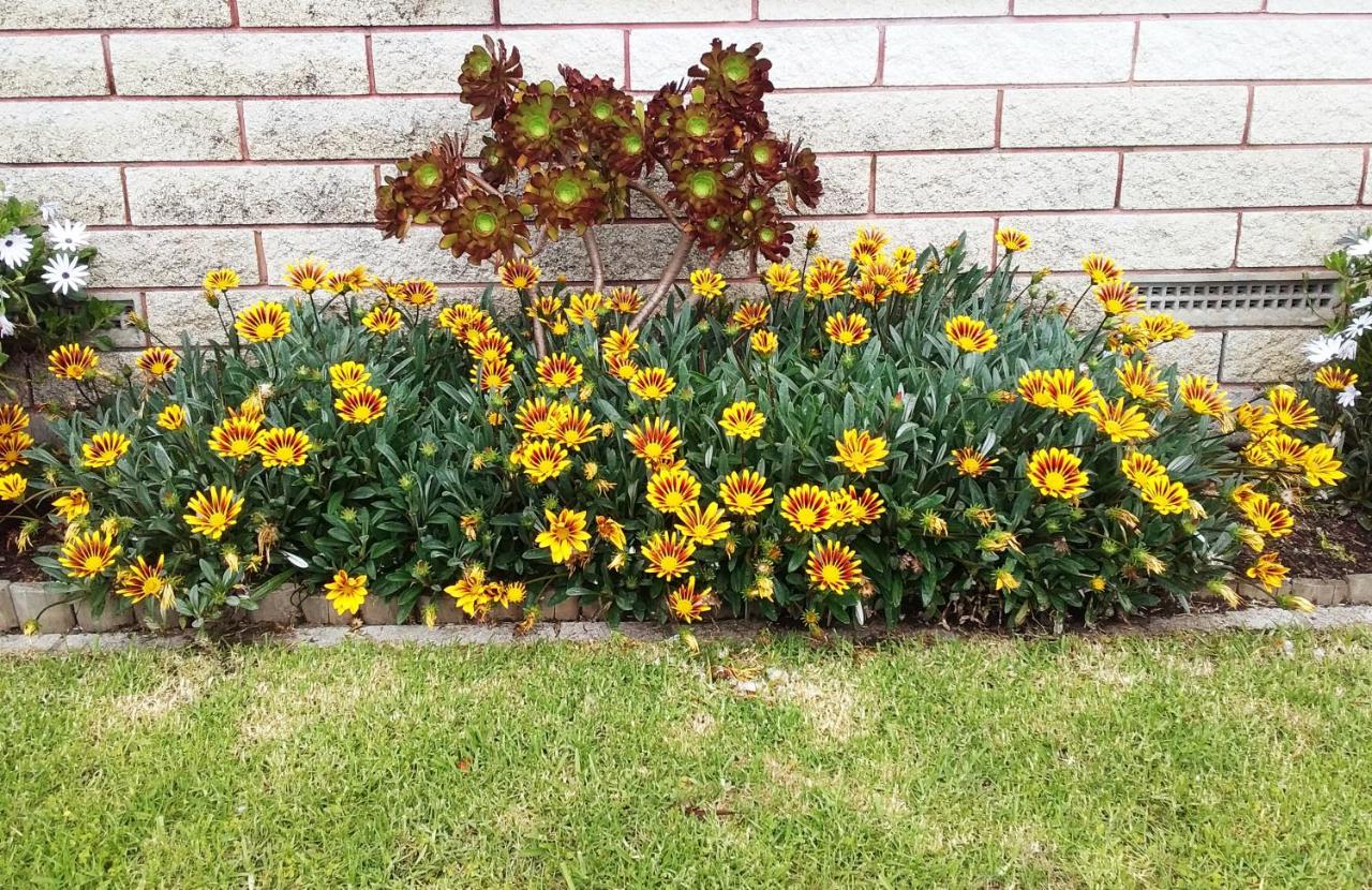 Fantastic Two Bedroom Unit - B&B Whakatane