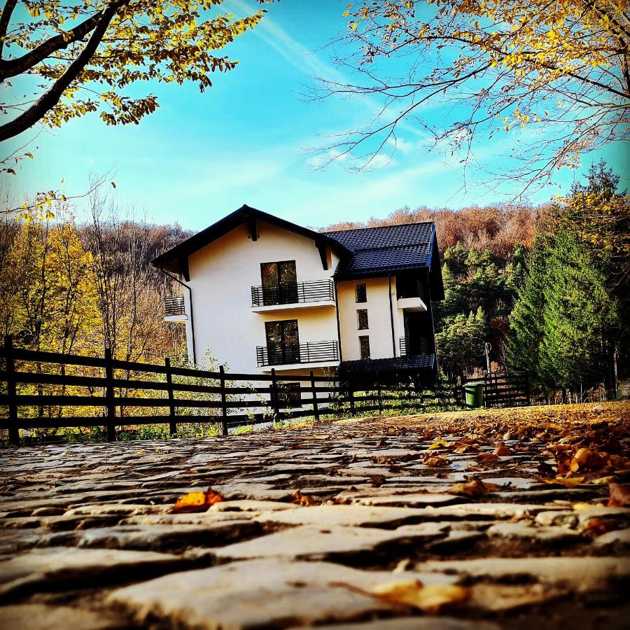 Beconia Riverside - B&B Văliug