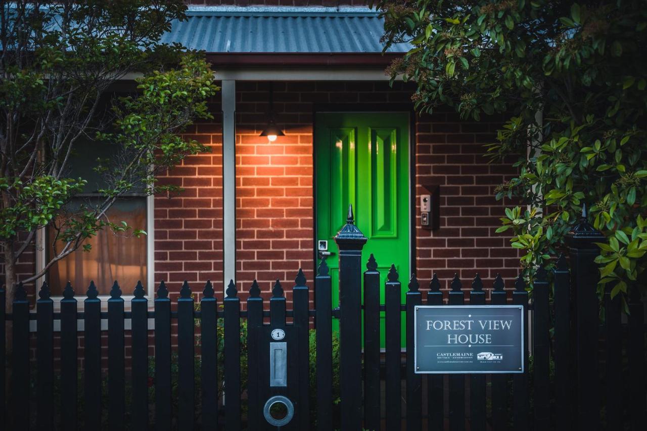 Forest View - B&B