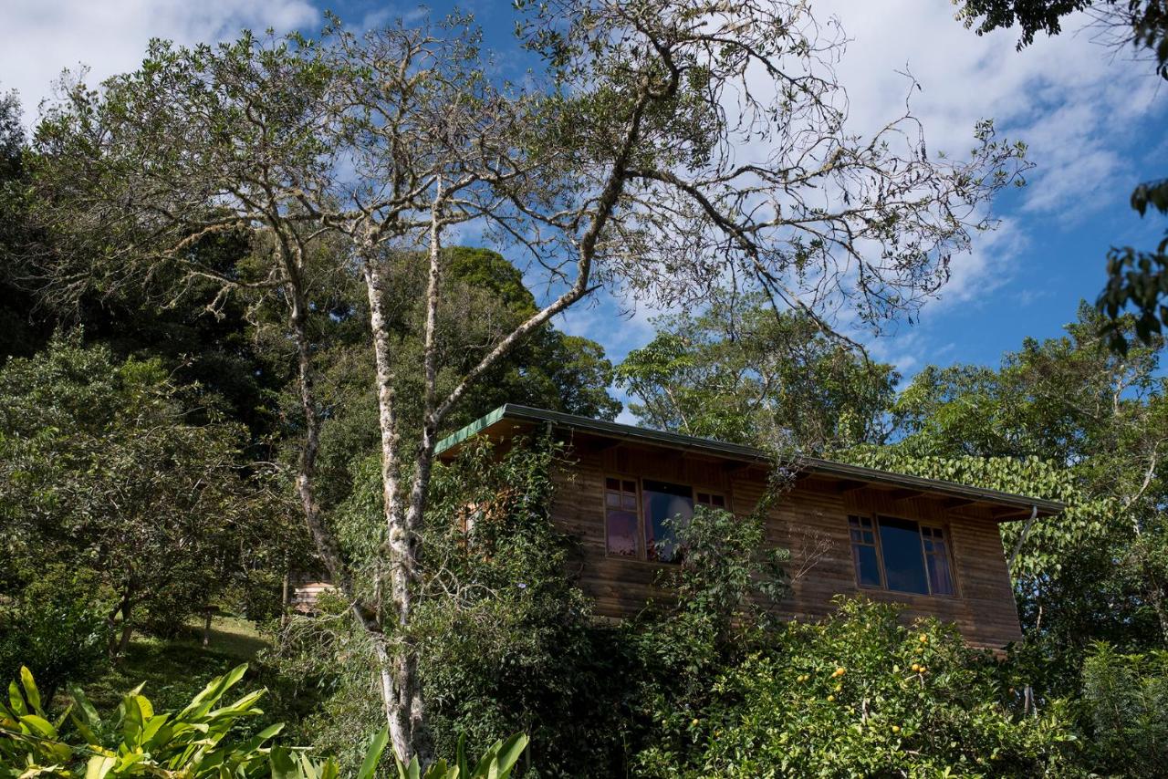 Two-Bedroom Bungalow