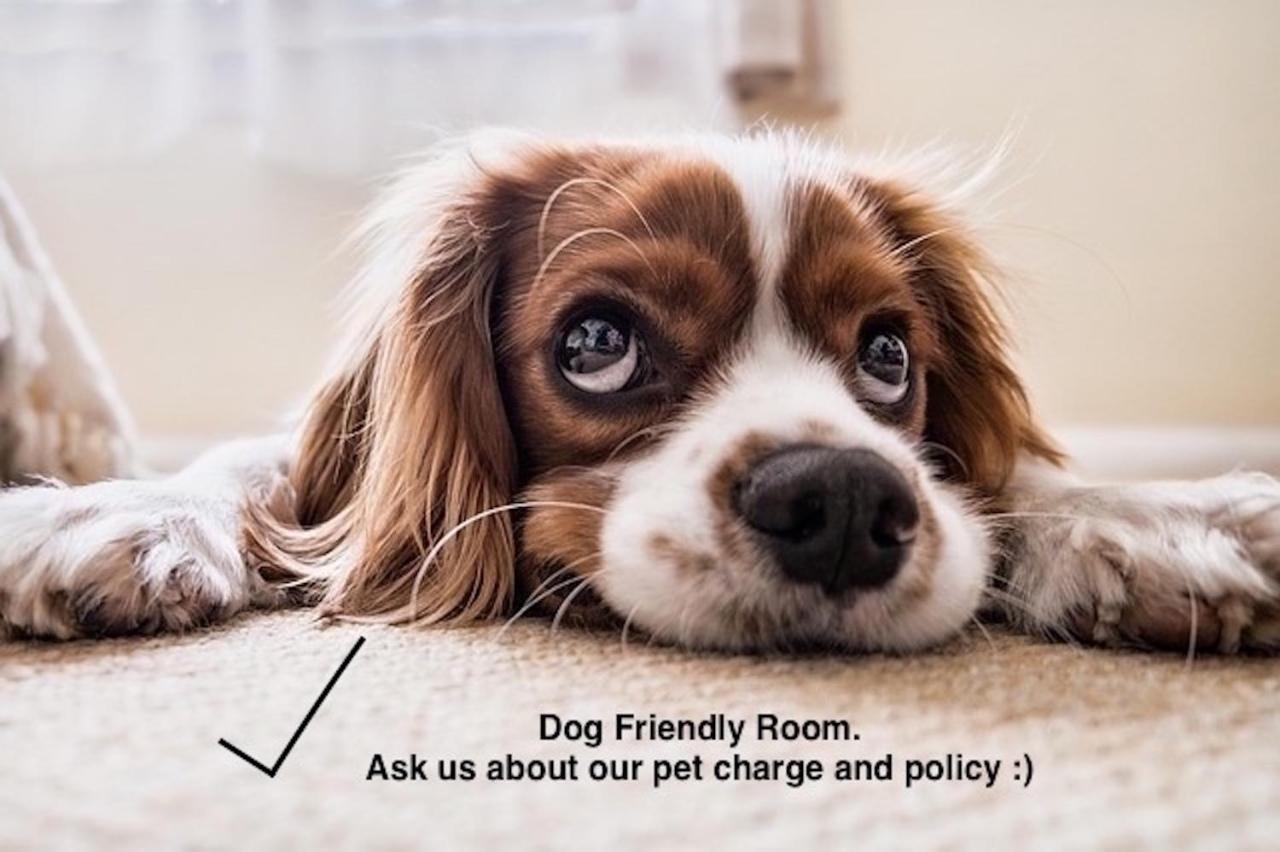 Estudio con vistas al jardín