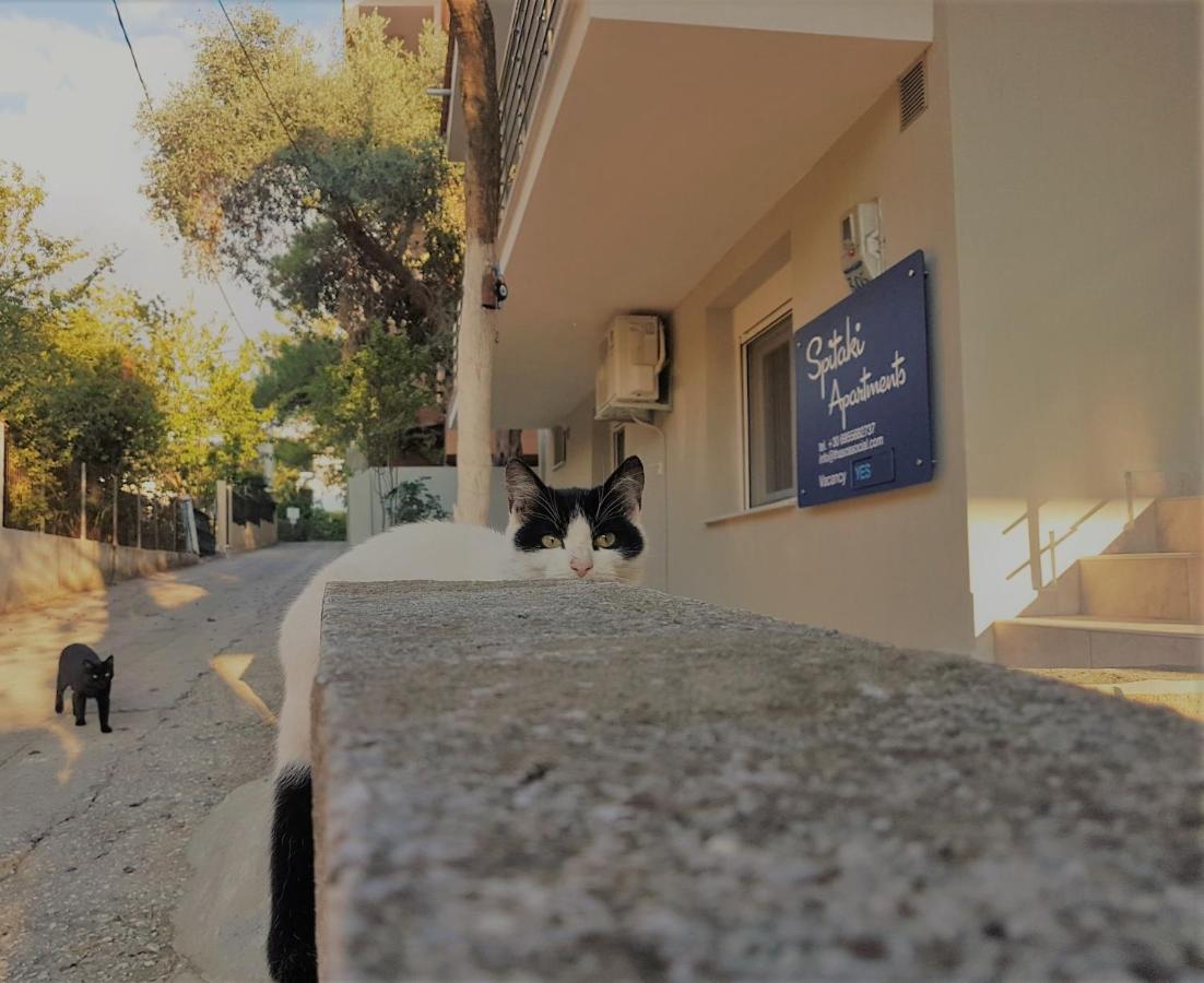 Spitaki Apartments Potos - Ferienwohnung Potos