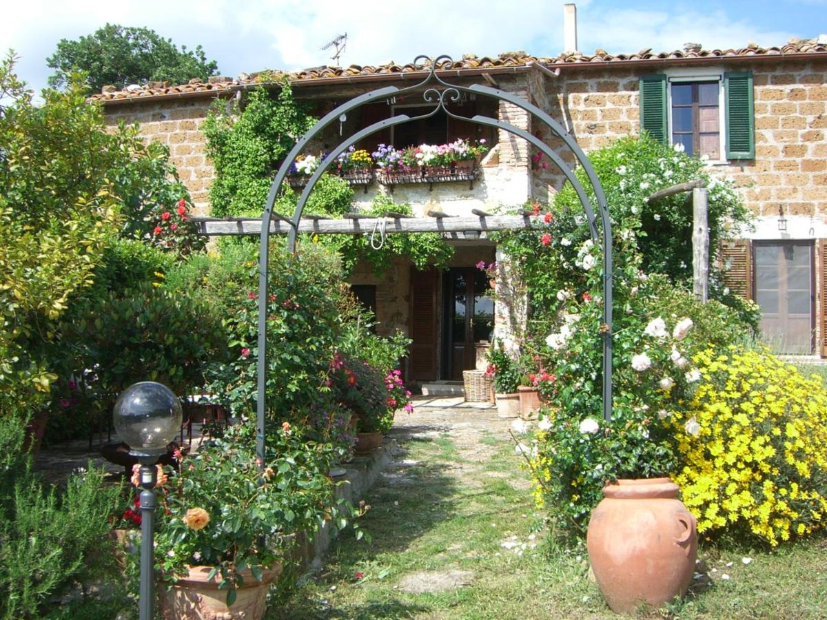 B&B Saturnia - Le Querciolaie Monte Cavallo - lower apartment - Bed and Breakfast Saturnia