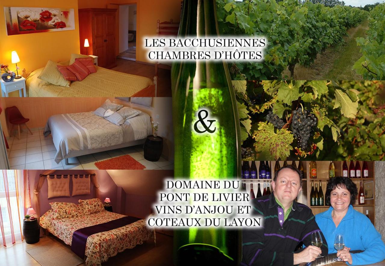 B&B Saint-Georges-sur-Layon - Les Bacchusiennes - Bed and Breakfast Saint-Georges-sur-Layon