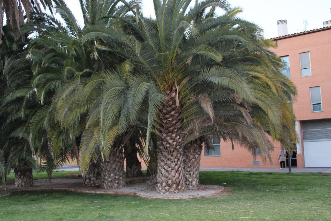 Holiday Apartments Malvarrosa Beach - Ferienwohnung Valencia