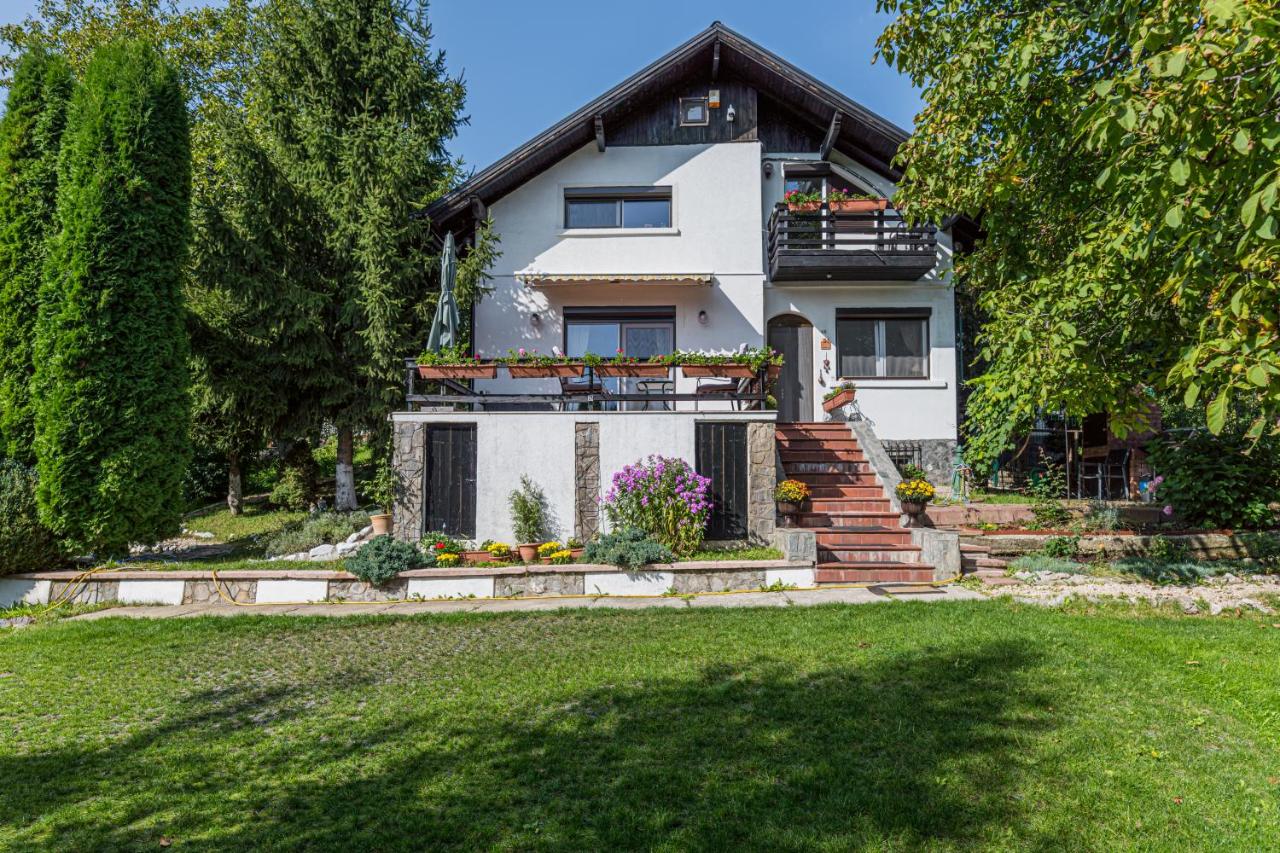 Home Alone - B&B Brasov