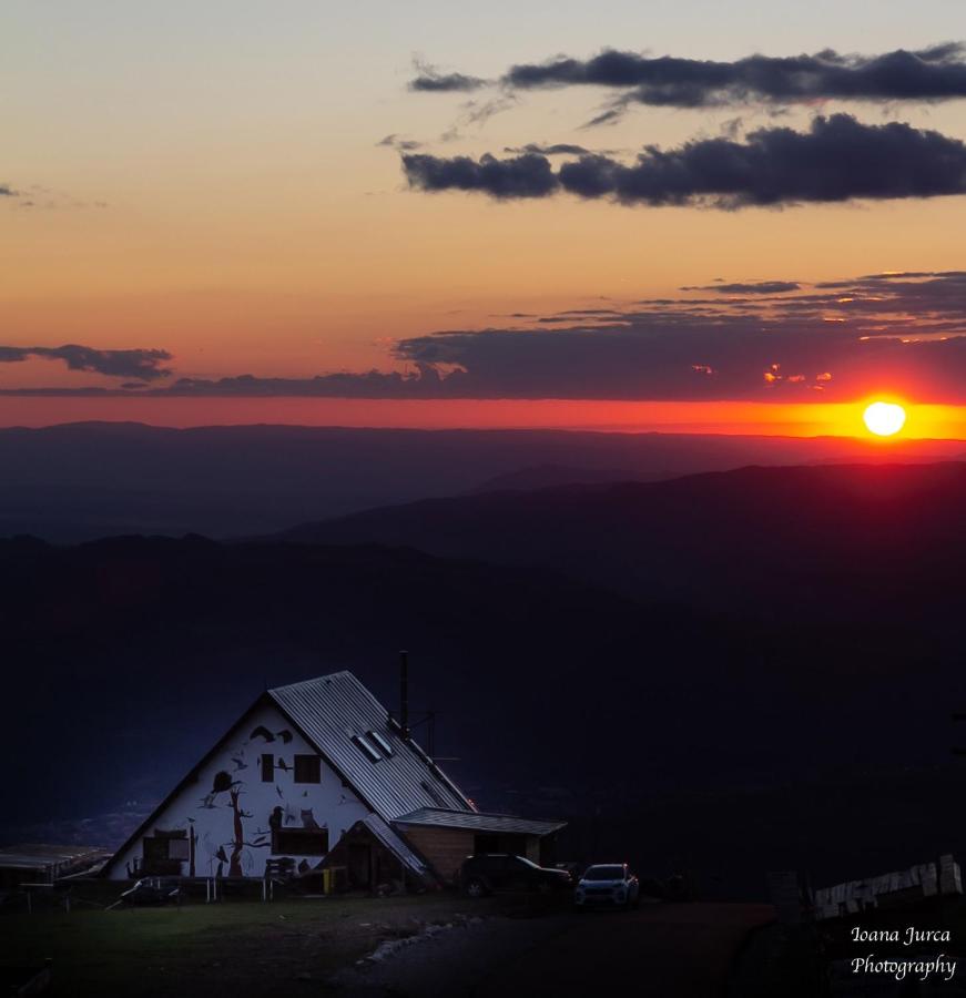 Birdshouse Parang - B&B Petroşani