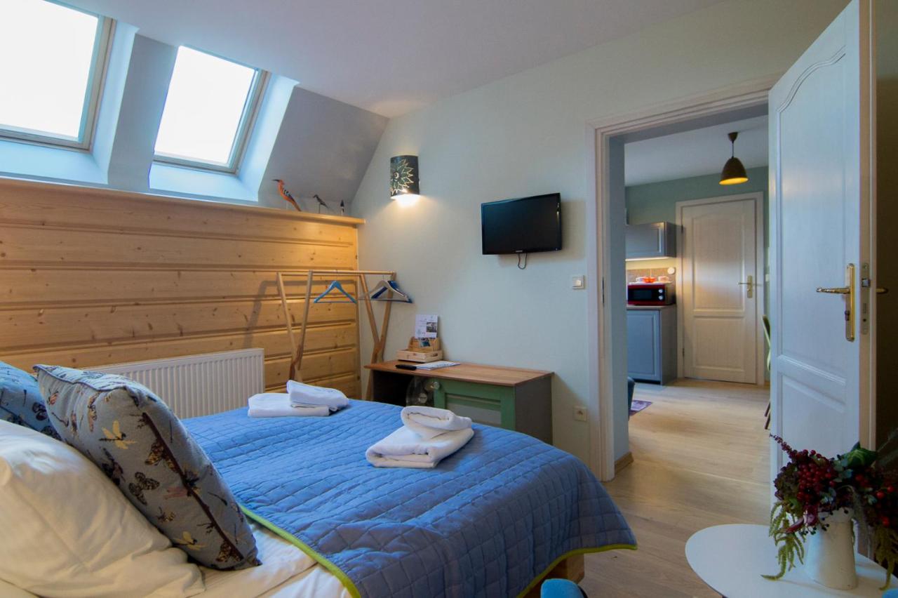 One-Bedroom Apartment 9