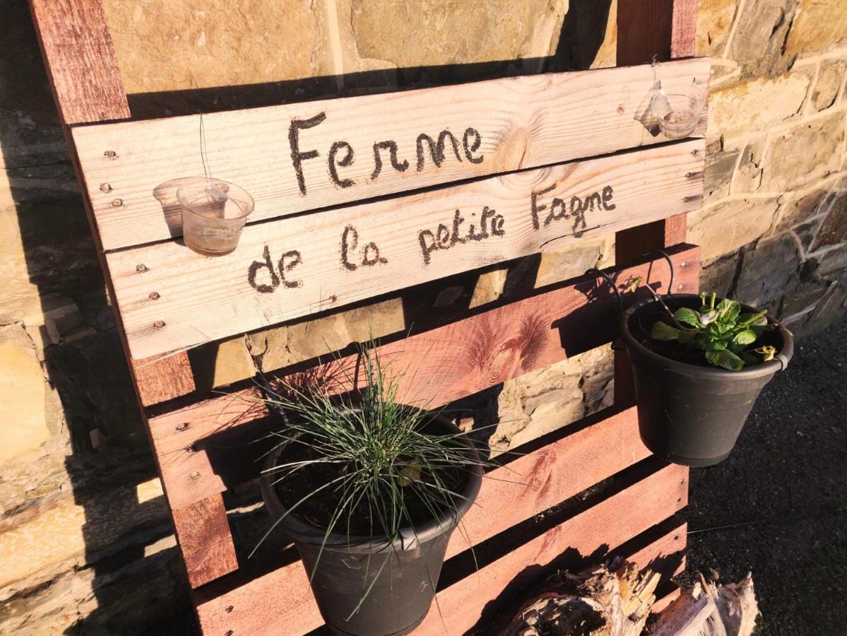 Ferme de la Petite Fagne - B&B