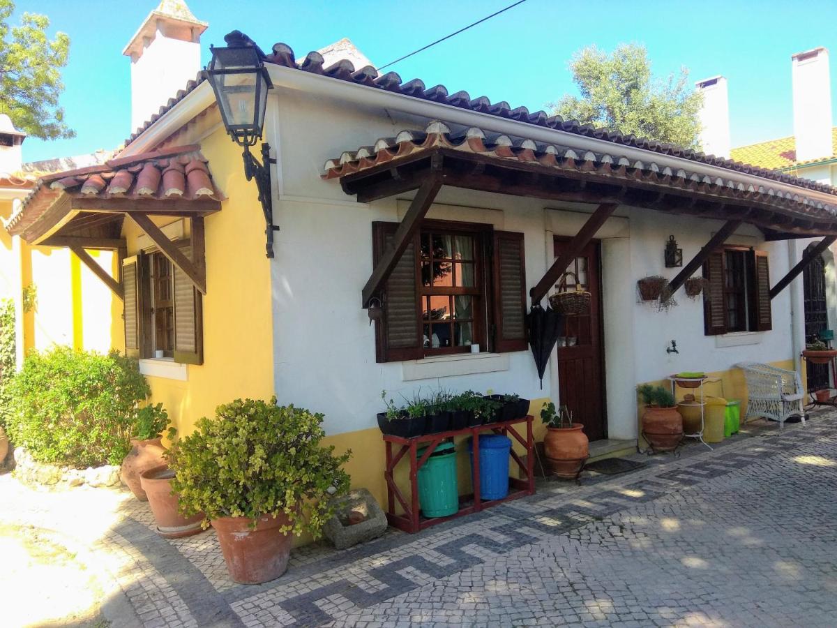 Casa Dos Arrabidos - Ferienwohnung