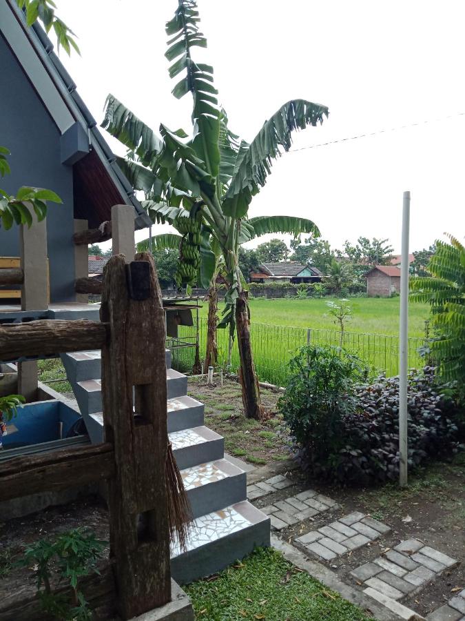 JOGLOPARI GuestHouse room 2 bukan untuk pasangan non pasutri - B&B Cepit