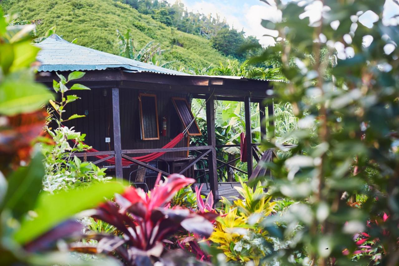 Hibiscus Valley Inn - B&B