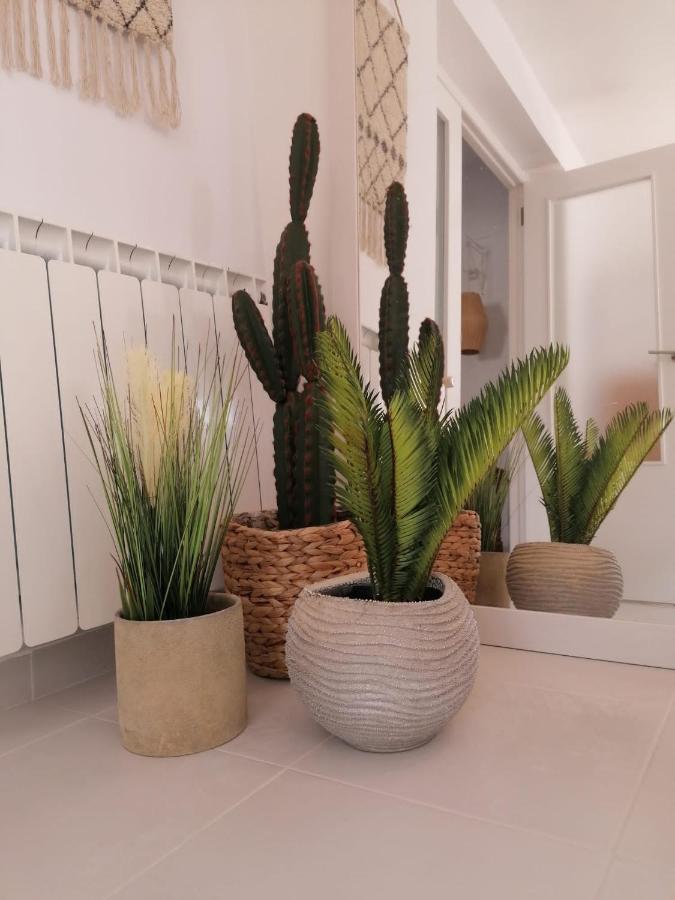 Appartement 3 Chambres