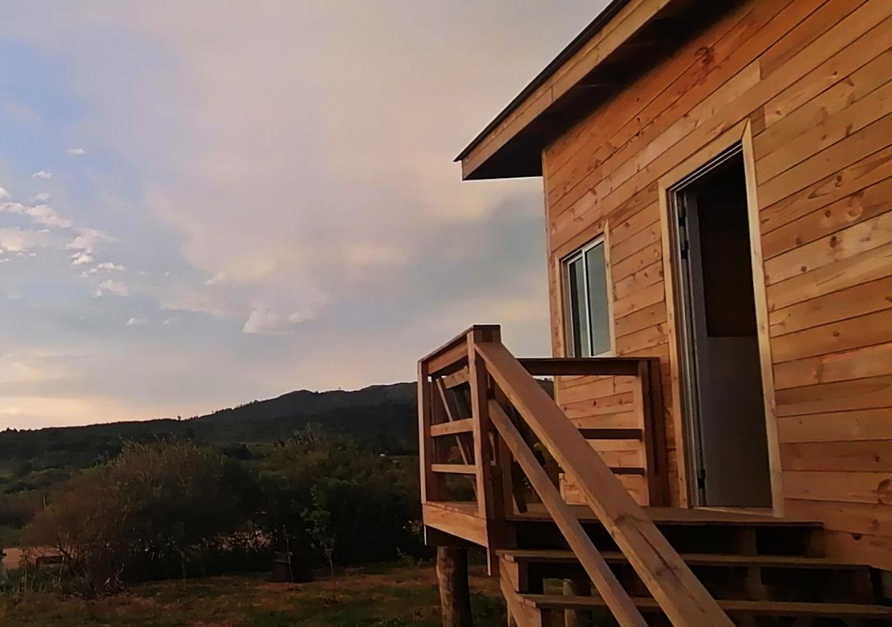 Charrua de Punta colorada - Ferienwohnung Punta Colorada