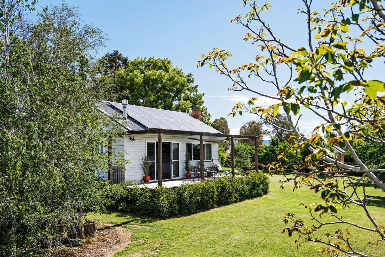 B&B Mudgee - Toms Cottage - "Wilgowrah" -A Country Escape - Bed and Breakfast Mudgee