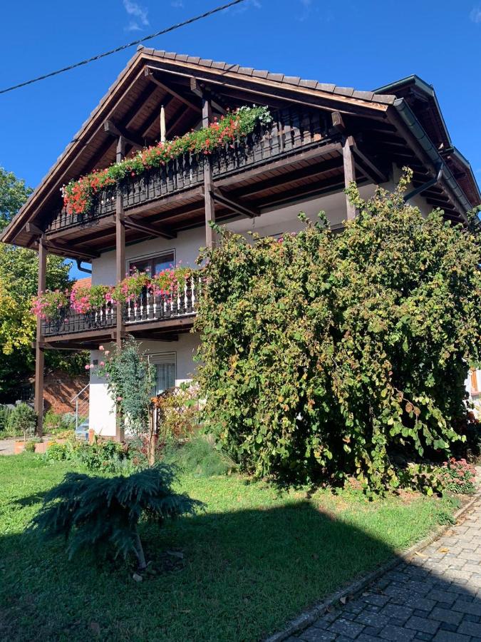 Gästehaus zum Rhein - Ferienwohnung