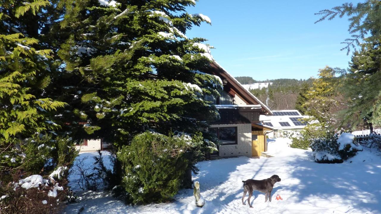 Ferienwohnung Wiesenblick mit Terrasse im Landhaus Fischer - B&B