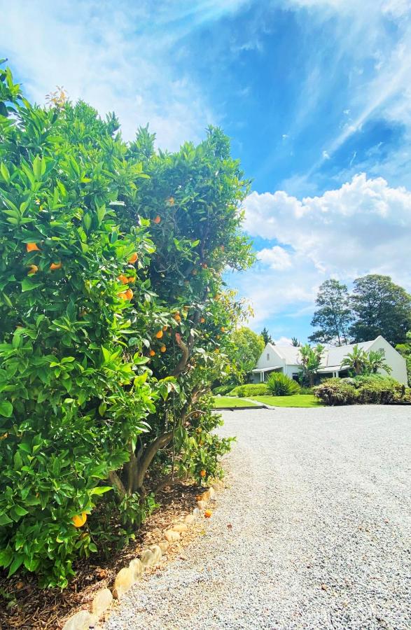 Swellendam Country Lodge - Guest House - B&B - B&B