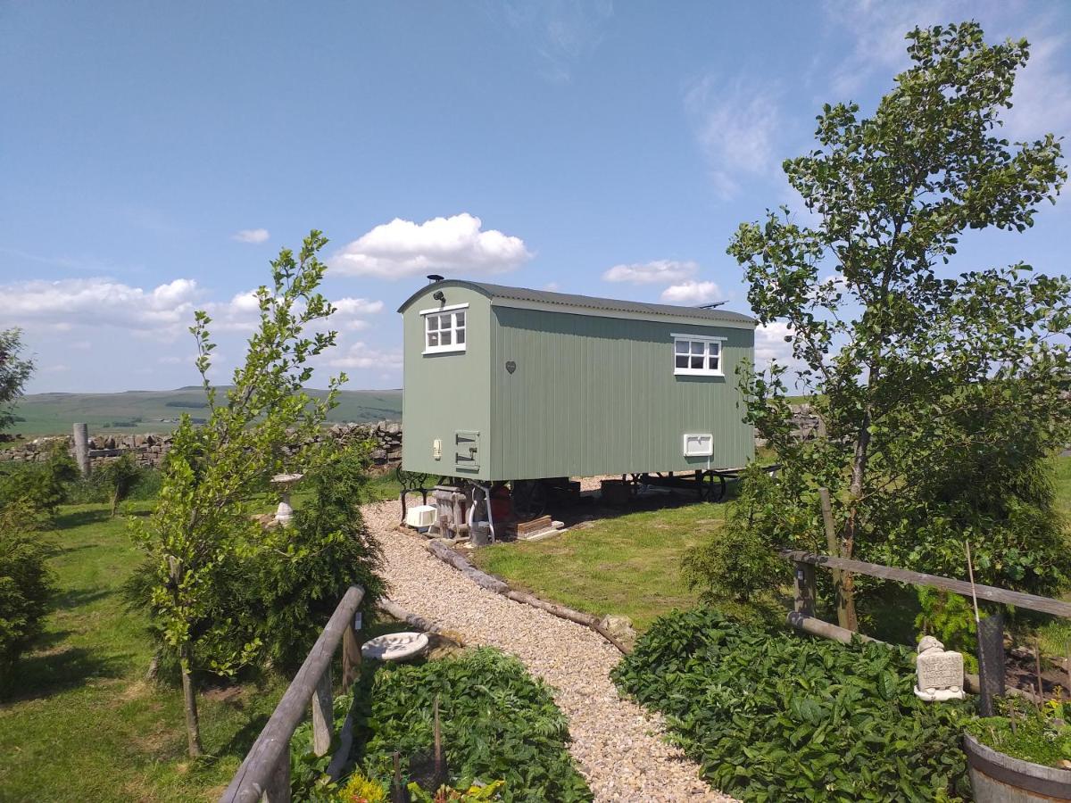 B&B Bellingham - The Buteland Stop Rosie off grid Shepherds Hut - Bed and Breakfast Bellingham