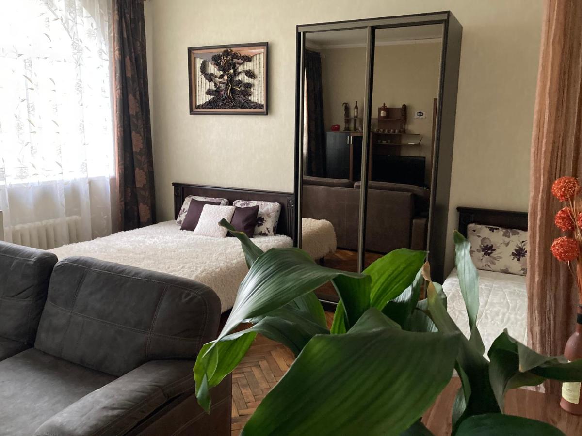 Apartment close to Roshen fountain - B&B Vinnytsia