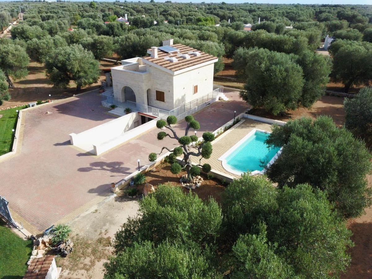 La Dimora negli ulivi - B&B San Vito dei Normanni