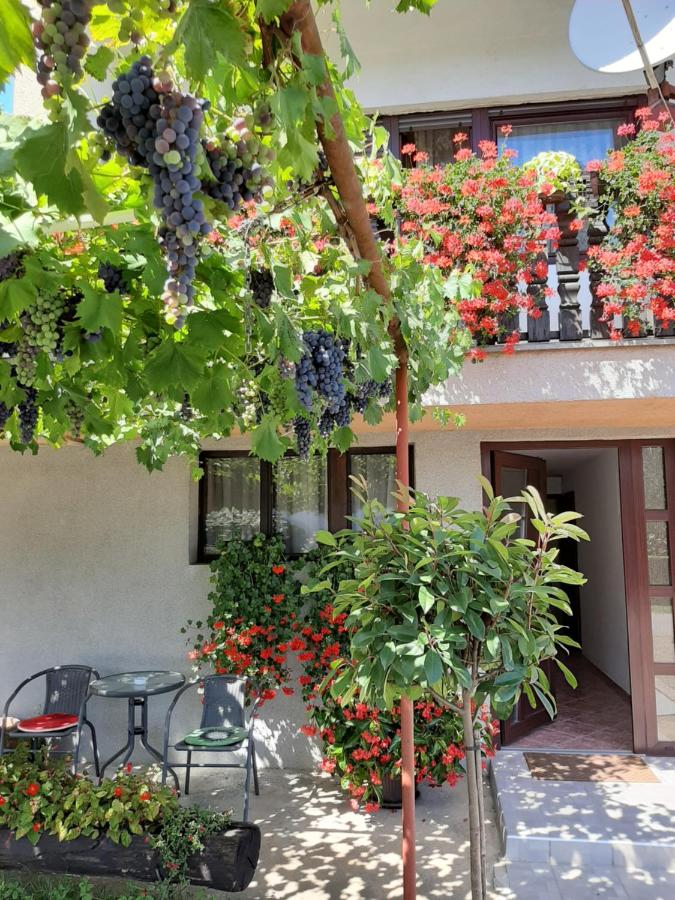 Apartment Vir - Ferienwohnung