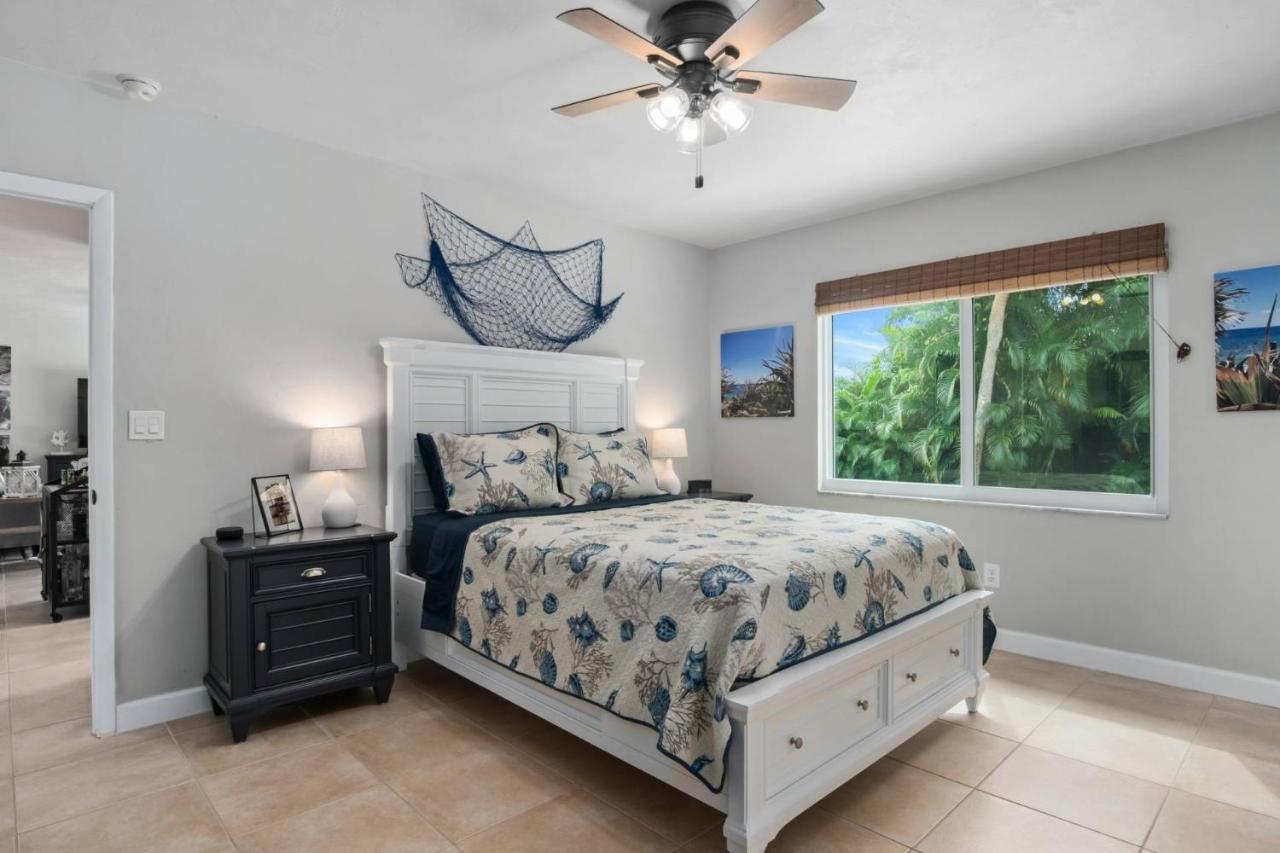 Sea Turtle - B&B Marco Island
