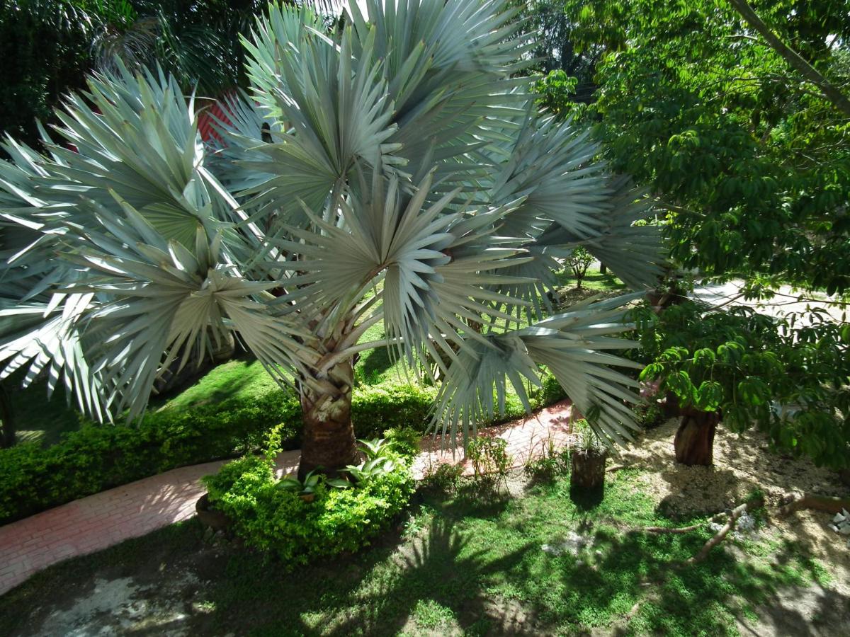 posada yaxche - B&B