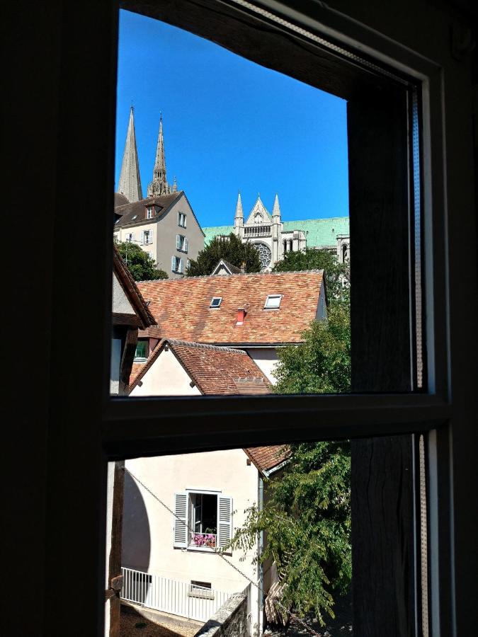 Best of Chartres one bedroom city center and view on the Cathedral - B&B
