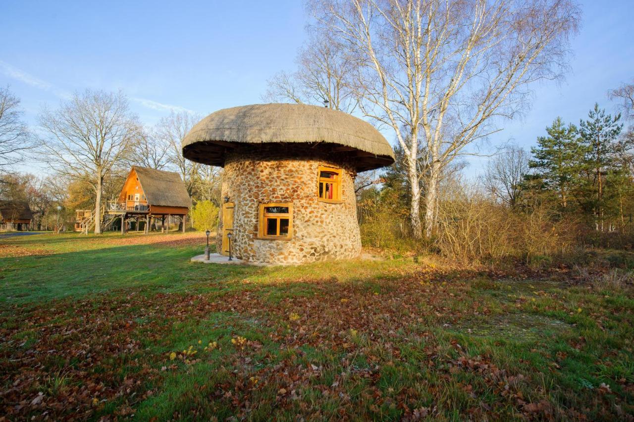 B&B Fère-en-Tardenois - Le Nid Dans Les Bruyères - Bed and Breakfast Fère-en-Tardenois