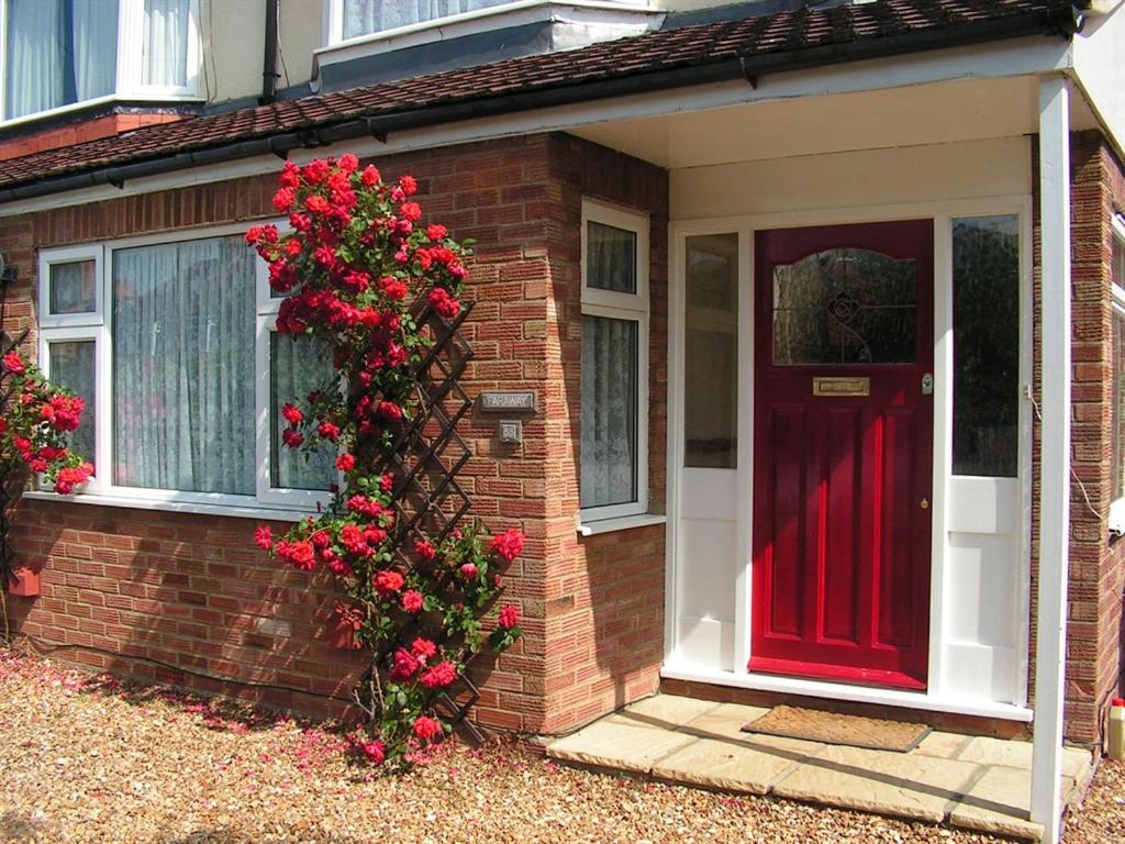 Rosa's Bed and Breakfast - B&B