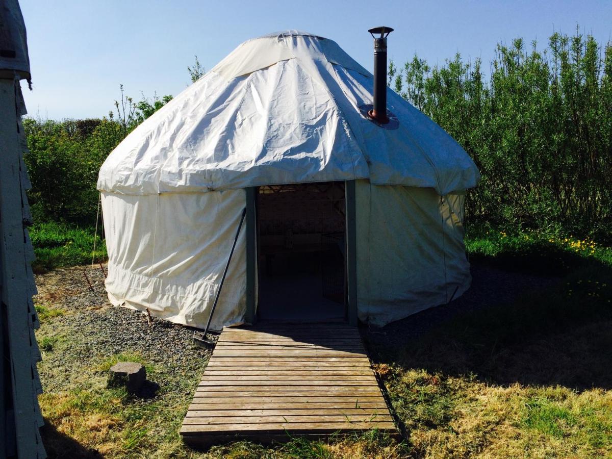 B&B Haverfordwest - Mill Haven Place glamping-yurt 2 - Bed and Breakfast Haverfordwest