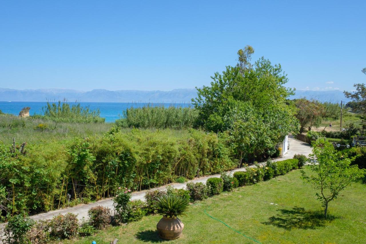 Studio with Garden View