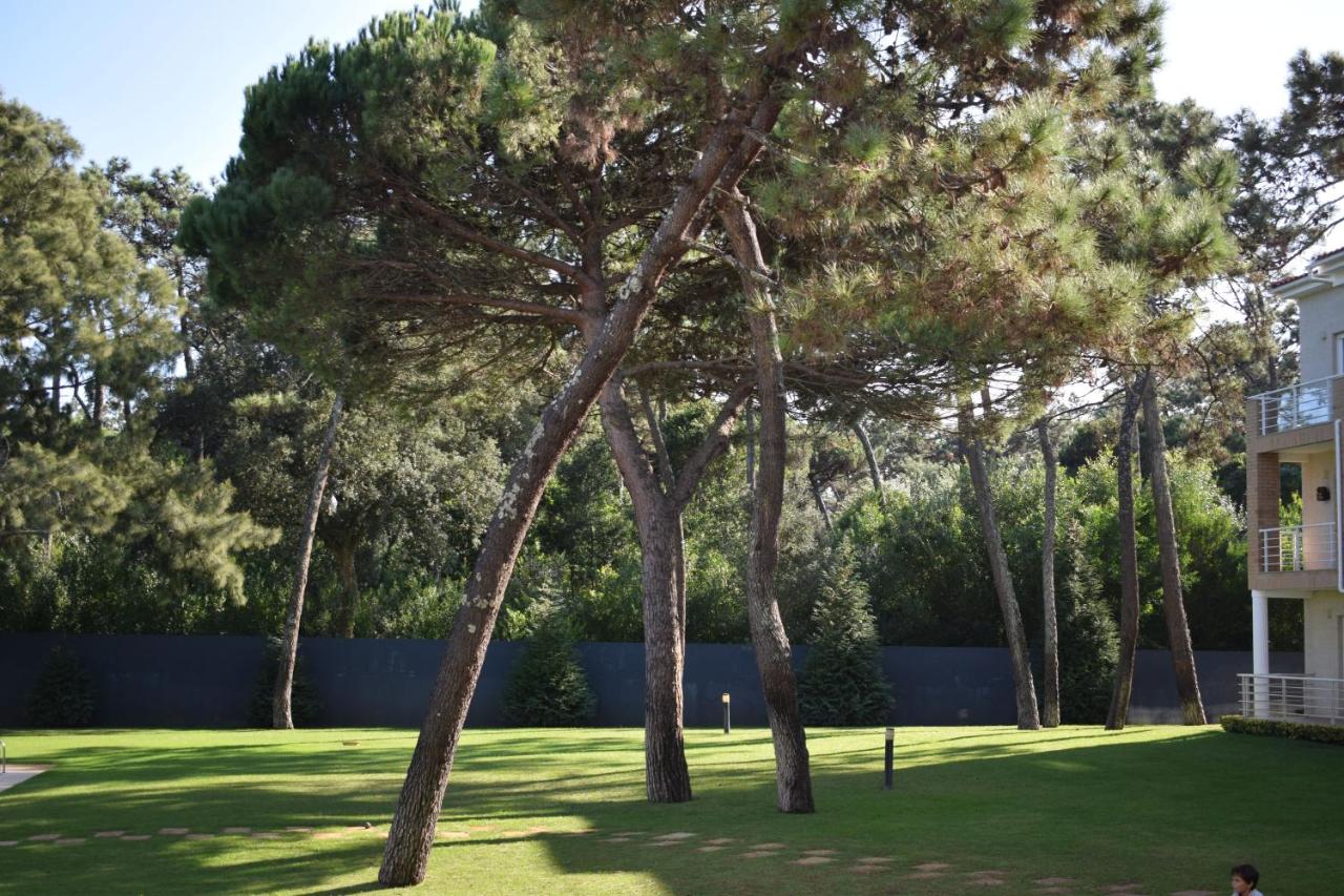 Parkofir - Ferienwohnung Apúlia e Fão