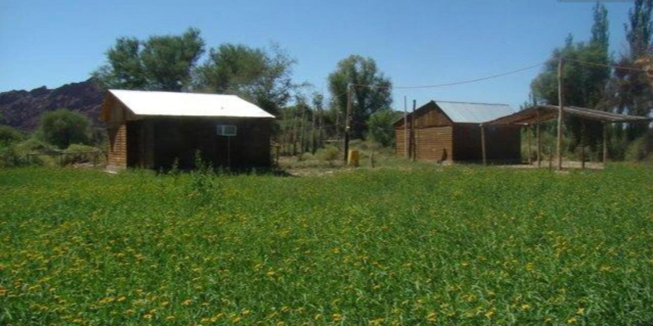 Hosteria Huaco - B&B